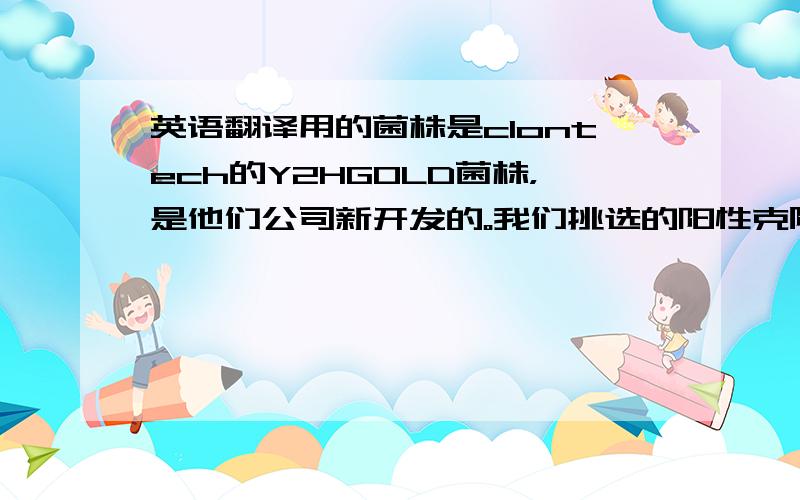 英语翻译用的菌株是clontech的Y2HGOLD菌株，是他们公司新开发的。我们挑选的阳性克隆是既能显色，又能在四缺板加毒素AbA,和16mM的3-AT.经测序他们是5个不同的克隆，但是都只能翻译出20－30个