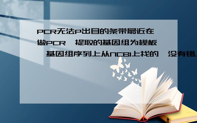 PCR无法P出目的条带最近在做PCR,提取的基因组为模板,基因组序列上从NCBI上找的,没有错.但是无论如何换引物和PCR条件,都会得到一条比目的片段大500bp左右的亮条带.（引物换了很多对儿,卡的