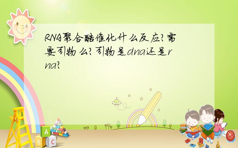 RNA聚合酶催化什么反应?需要引物么?引物是dna还是rna？