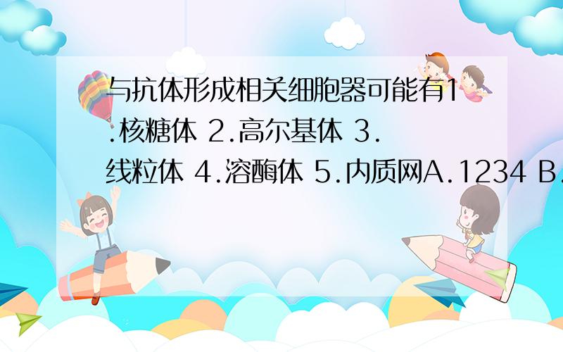 与抗体形成相关细胞器可能有1.核糖体 2.高尔基体 3.线粒体 4.溶酶体 5.内质网A.1234 B.2345 C.12345 D.1235