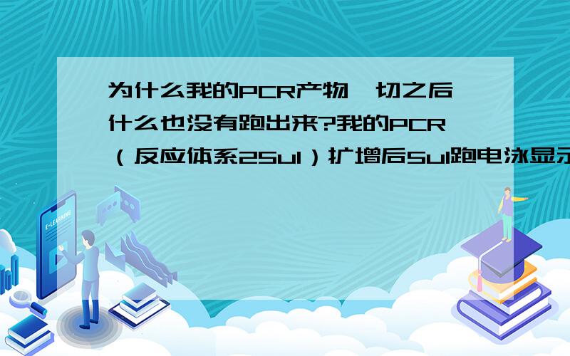 为什么我的PCR产物酶切之后什么也没有跑出来?我的PCR（反应体系25ul）扩增后5ul跑电泳显示出目的基因,然后我用剩下中的10ul和1 0 ×buffer 2 μL ,0.1% BSA 2 μL ,Fok I限制性内切酶( 2U / μL ) 1.25μL ,去