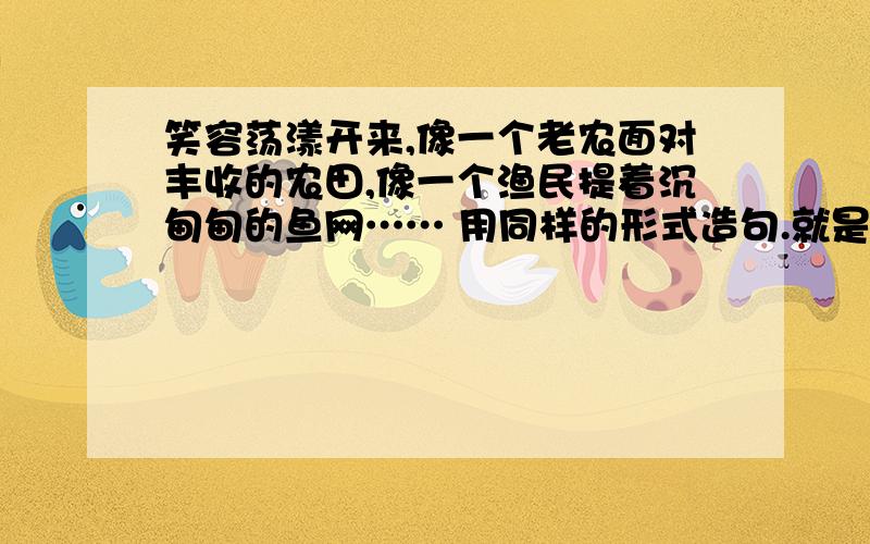 笑容荡漾开来,像一个老农面对丰收的农田,像一个渔民提着沉甸甸的鱼网…… 用同样的形式造句.就是《牵着母亲过马路》的第二小题,另外的几小题会的也可以告诉我,抱歉,只是没财富悬赏.