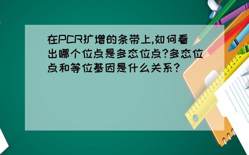 在PCR扩增的条带上,如何看出哪个位点是多态位点?多态位点和等位基因是什么关系?