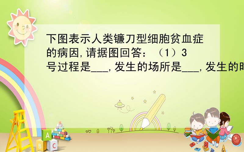 下图表示人类镰刀型细胞贫血症的病因,请据图回答：（1）3号过程是___,发生的场所是___,发生的时间是___；1号过程是___,发生的场所是___；2号过程是___,发生的场所是___.（2）4号表示的碱基序