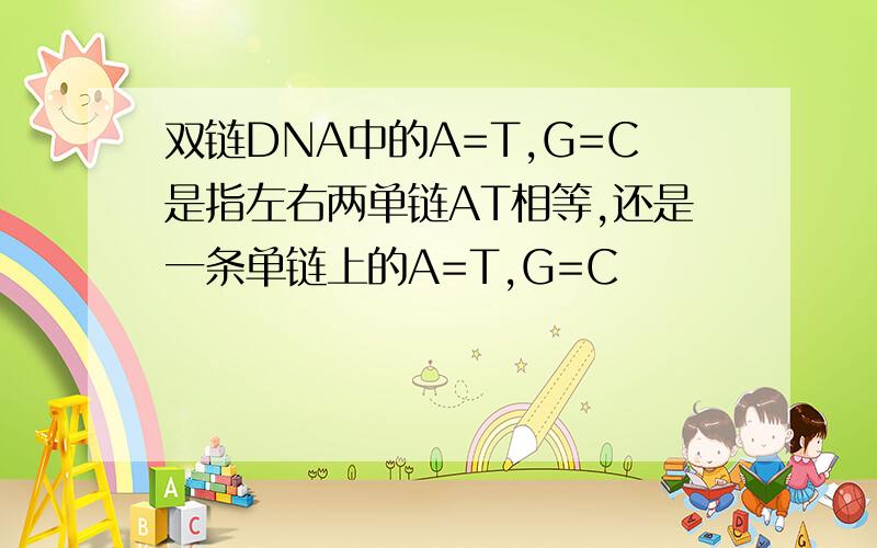 双链DNA中的A=T,G=C是指左右两单链AT相等,还是一条单链上的A=T,G=C