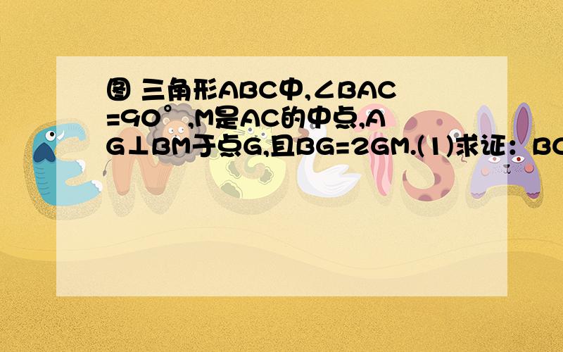 图 三角形ABC中,∠BAC=90°,M是AC的中点,AG⊥BM于点G,且BG=2GM.(1)求证：BC=3AG; (2)若AB=√6,求BM的如图 三角形ABC中,∠BAC=90°,M是AC的中点,AG⊥BM于点G,且BG=2GM.(1)求证：BC=3AG;(2)若AB=√6,求BM的长.要用连接C