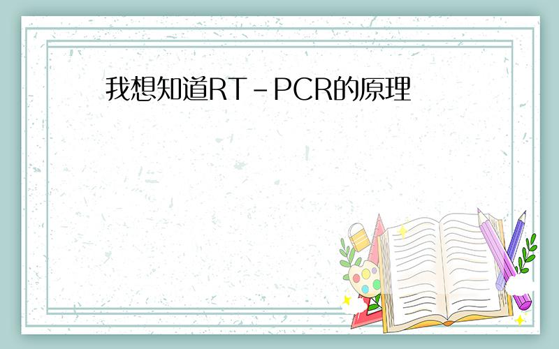 我想知道RT-PCR的原理