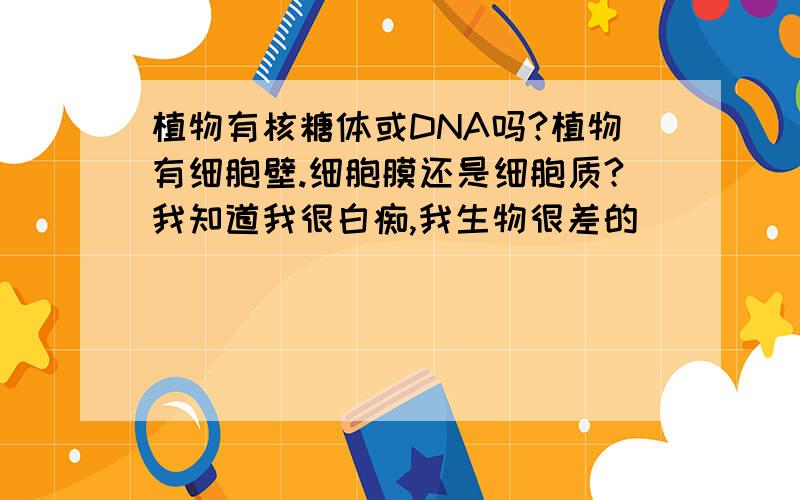 植物有核糖体或DNA吗?植物有细胞壁.细胞膜还是细胞质?我知道我很白痴,我生物很差的``