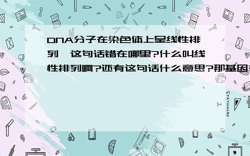 DNA分子在染色体上呈线性排列,这句话错在哪里?什么叫线性排列啊?还有这句话什么意思?那基因在DNA上算线性排列？？基因又不是一个排着一个啊！中间还空了好多没用的碱基对！