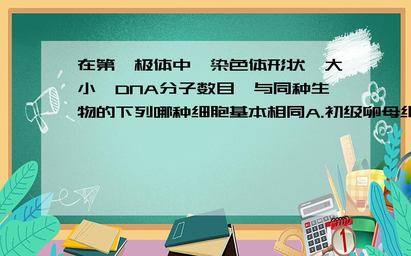 在第一极体中,染色体形状、大小、DNA分子数目,与同种生物的下列哪种细胞基本相同A.初级卵母细胞 B.含X染色体的次级精母细胞C.含Y染色体的次级精母细胞 D.卵细胞