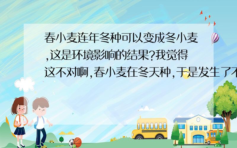 春小麦连年冬种可以变成冬小麦,这是环境影响的结果?我觉得这不对啊,春小麦在冬天种,于是发生了不定向变异,那些变异的不好的,被环境淘汰了,所以一代积一代,就变成了冬小麦,那这应该是