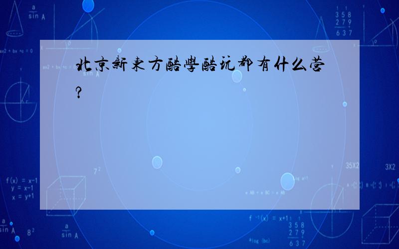 北京新东方酷学酷玩都有什么营?