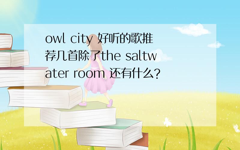 owl city 好听的歌推荐几首除了the saltwater room 还有什么?