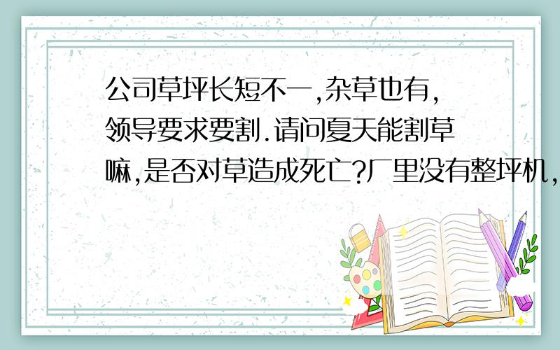 公司草坪长短不一,杂草也有,领导要求要割.请问夏天能割草嘛,是否对草造成死亡?厂里没有整坪机,只有割草机,螺旋式的,一割会割到根部.