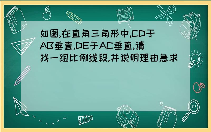 如图,在直角三角形中,CD于AB垂直,DE于AC垂直,请找一组比例线段,并说明理由急求