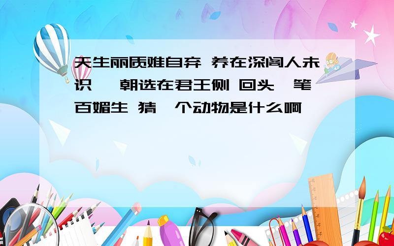 天生丽质难自弃 养在深阁人未识 一朝选在君王侧 回头一笔百媚生 猜一个动物是什么啊