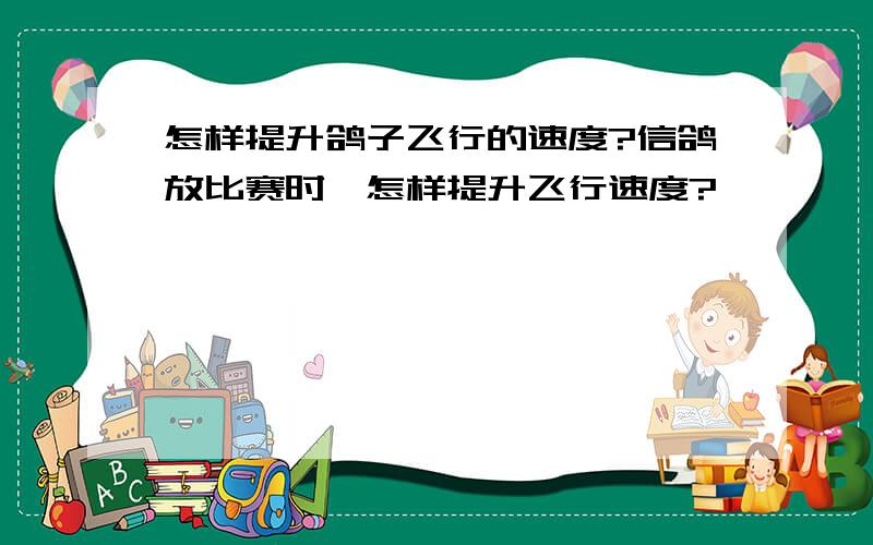 怎样提升鸽子飞行的速度?信鸽放比赛时,怎样提升飞行速度?