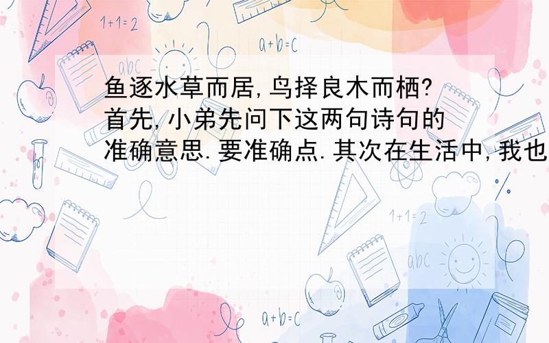 鱼逐水草而居,鸟择良木而栖?首先,小弟先问下这两句诗句的准确意思.要准确点.其次在生活中,我也时常听到这两句话,其中有“良禽择木而栖”“禽鸟择良木而栖”“佳鸟择良木而栖”..“良