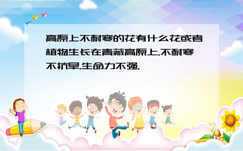 高原上不耐寒的花有什么花或者植物生长在青藏高原上.不耐寒不抗旱.生命力不强.