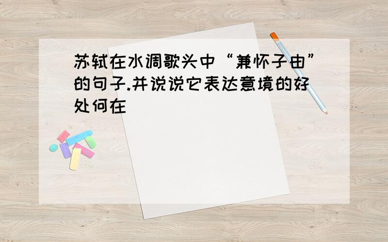 苏轼在水调歌头中“兼怀子由”的句子.并说说它表达意境的好处何在