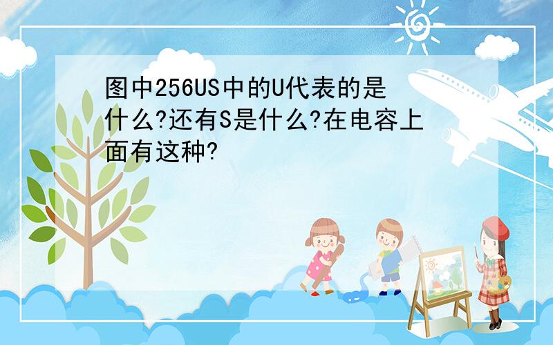 图中256US中的U代表的是什么?还有S是什么?在电容上面有这种?