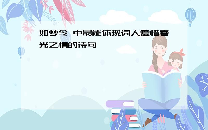 如梦令 中最能体现词人爱惜春光之情的诗句