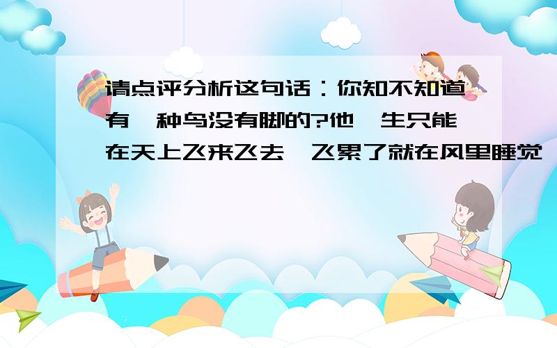 请点评分析这句话：你知不知道有一种鸟没有脚的?他一生只能在天上飞来飞去,飞累了就在风里睡觉,一辈子只落地一次,那就是他死的时候.《爱的教育》里面的好句