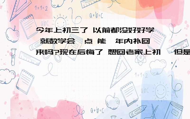 今年上初三了 以前都没好好学 就数学会一点 能一年内补回来吗?现在后悔了 想回老家上初一 但是感觉 有点于心不忍 如果初三认真学一年 能补回来吗?怎么补?