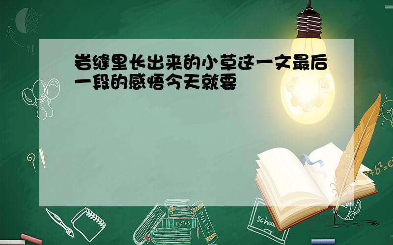 岩缝里长出来的小草这一文最后一段的感悟今天就要