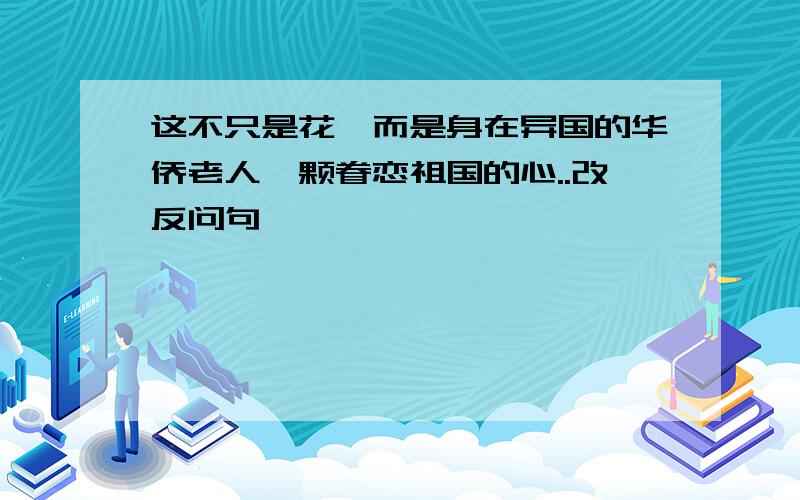 这不只是花,而是身在异国的华侨老人一颗眷恋祖国的心..改反问句