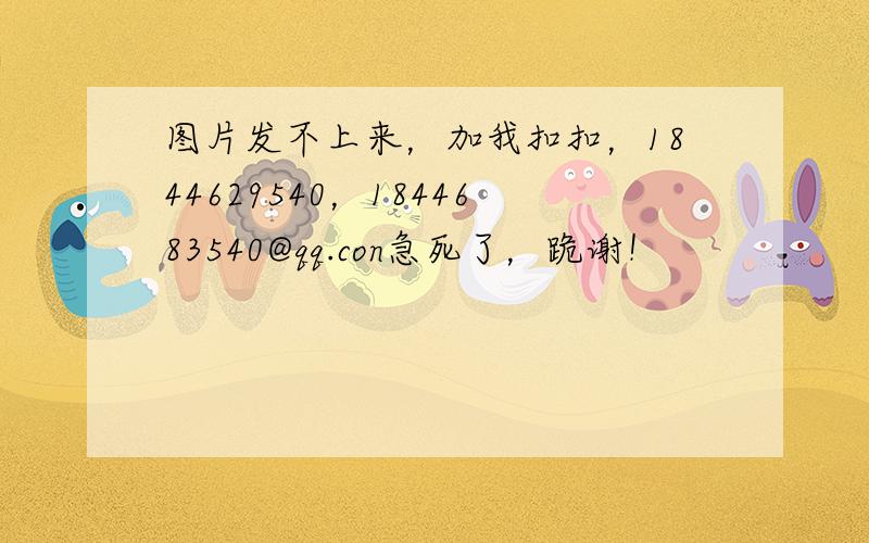 图片发不上来，加我扣扣，1844629540，1844683540@qq.con急死了，跪谢！