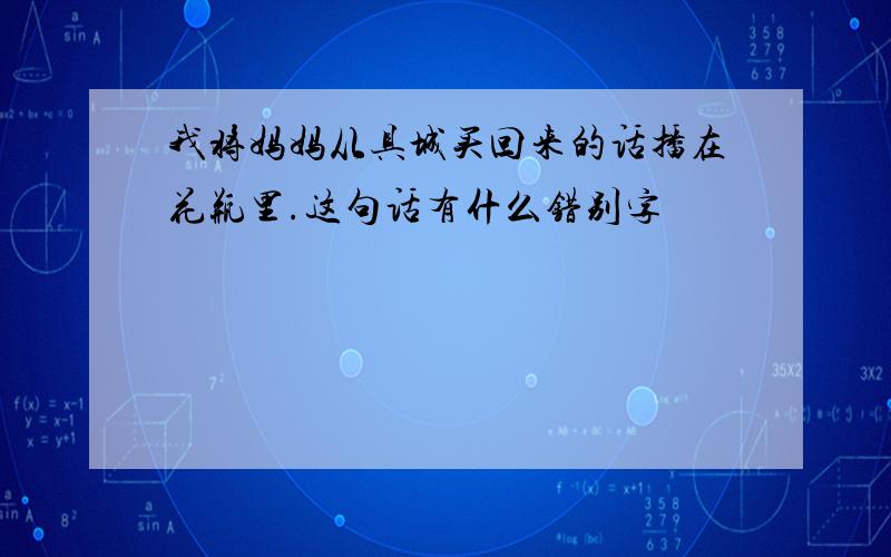 我将妈妈从具城买回来的话播在花瓶里.这句话有什么错别字