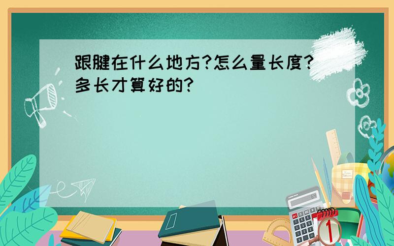 跟腱在什么地方?怎么量长度?多长才算好的?