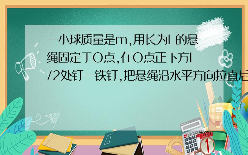 一小球质量是m,用长为L的悬绳固定于O点,在O点正下方L/2处钉一铁钉,把悬绳沿水平方向拉直后无初速度释放小球,当悬绳碰到钉子的瞬间：小球的向心加速度以及悬绳的张力的变化?