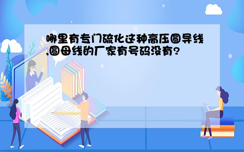 哪里有专门硫化这种高压圆导线,圆母线的厂家有号码没有?