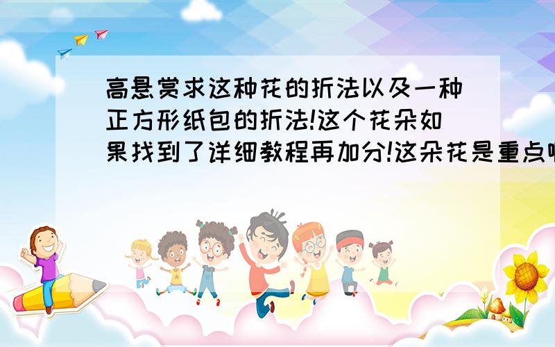 高悬赏求这种花的折法以及一种正方形纸包的折法!这个花朵如果找到了详细教程再加分!这朵花是重点啊!正方形纸包包我有一点印象 但是记不清 如果有它教程还是会加分!