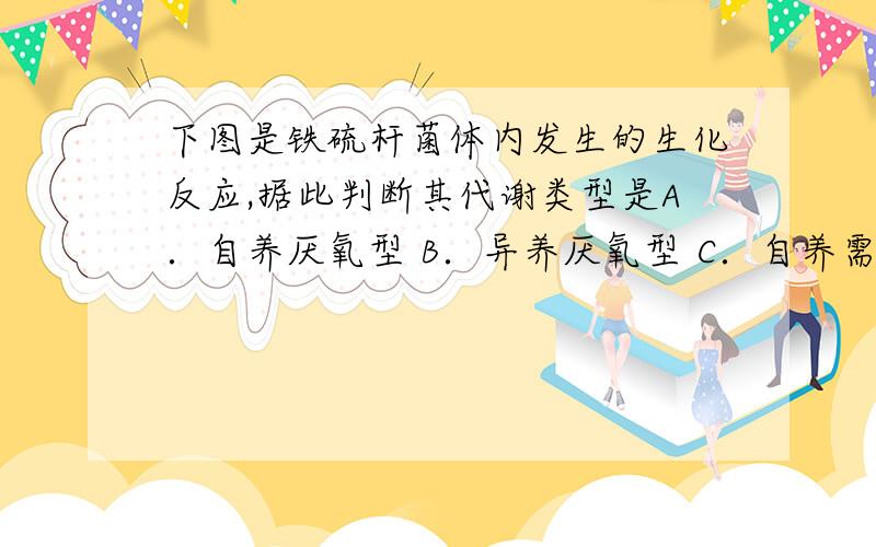 下图是铁硫杆菌体内发生的生化反应,据此判断其代谢类型是A．自养厌氧型 B．异养厌氧型 C．自养需氧型 D．异养需氧型为什么?