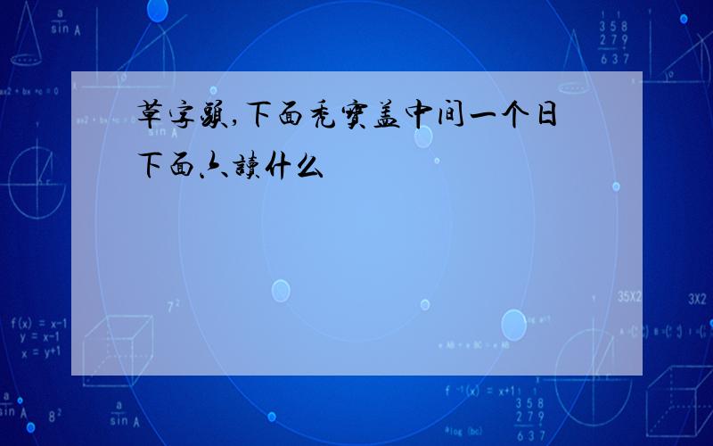 草字头,下面秃宝盖中间一个日下面六读什么