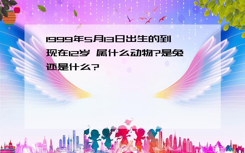 1999年5月13日出生的到现在12岁 属什么动物?是兔还是什么?