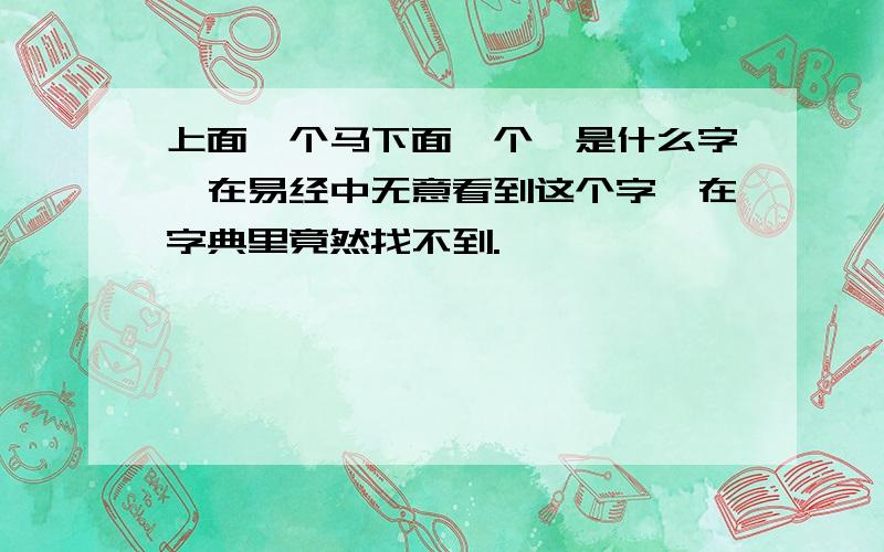 上面一个马下面一个廾是什么字,在易经中无意看到这个字,在字典里竟然找不到.