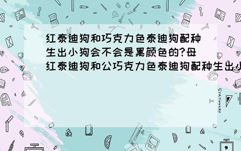 红泰迪狗和巧克力色泰迪狗配种生出小狗会不会是黑颜色的?母红泰迪狗和公巧克力色泰迪狗配种生出小狗会不会是黑颜色的?或会变成什么颜色?有人说八成是黑色的.是这样的吗?