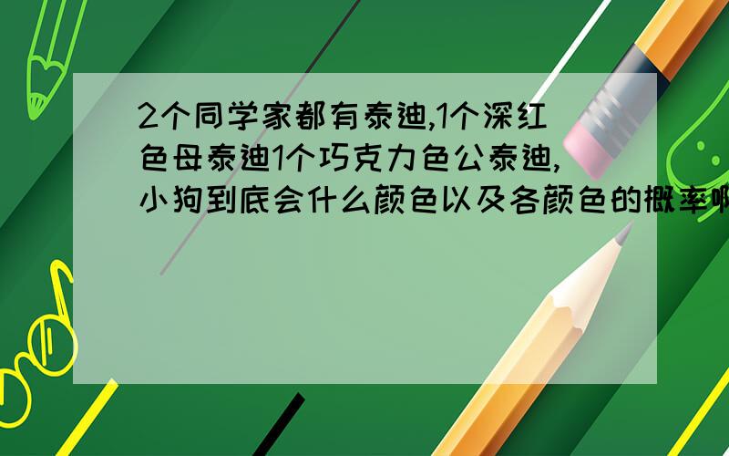 2个同学家都有泰迪,1个深红色母泰迪1个巧克力色公泰迪,小狗到底会什么颜色以及各颜色的概率啊?希望真正