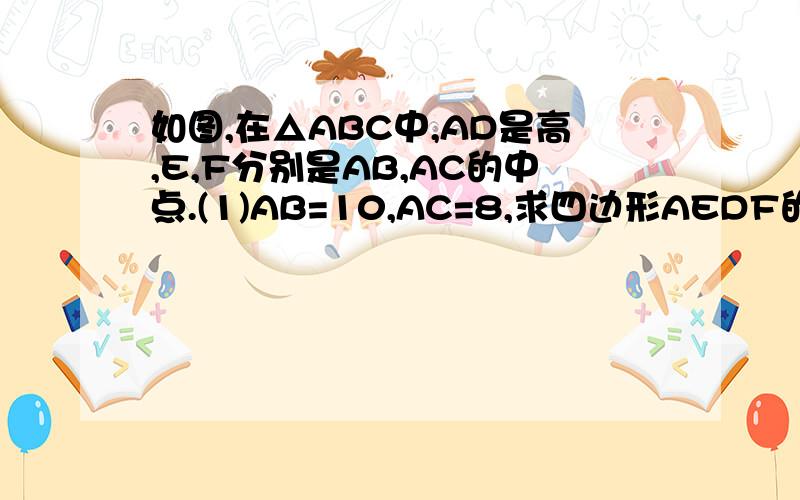 如图,在△ABC中,AD是高,E,F分别是AB,AC的中点.(1)AB=10,AC=8,求四边形AEDF的周长;(2)EF与AD有怎样的位置关系?证明你的结论.