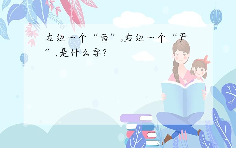 左边一个“西”,右边一个“严”.是什么字?