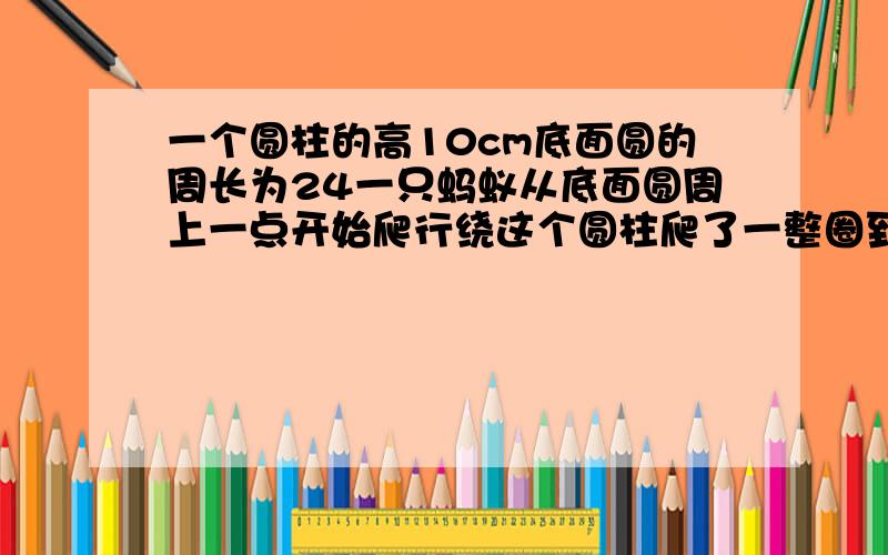 一个圆柱的高10cm底面圆的周长为24一只蚂蚁从底面圆周上一点开始爬行绕这个圆柱爬了一整圈到上底圆周上一一个圆柱的高为10cm,底面圆的周长为24,一只蚂蚁从底面圆周上一点开始爬行,绕这