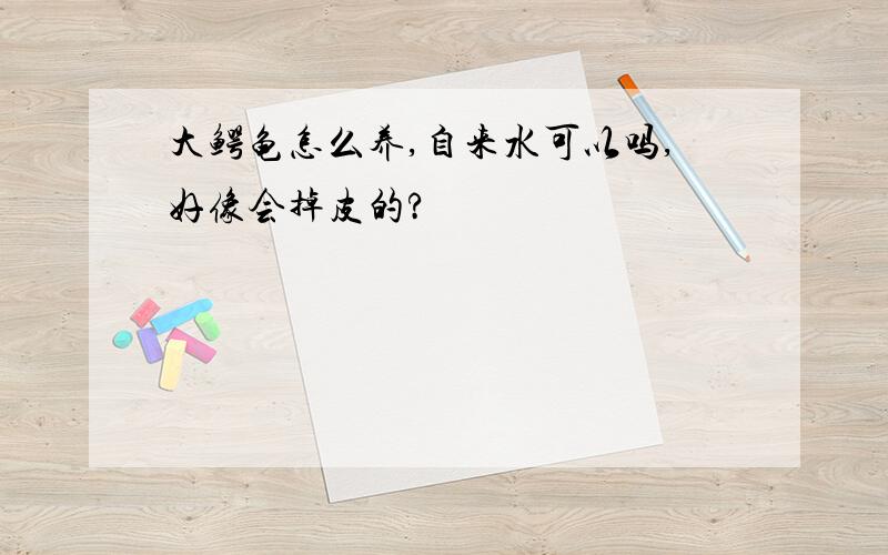 大鳄龟怎么养,自来水可以吗,好像会掉皮的?