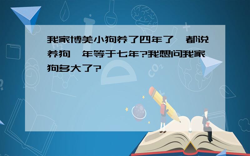 我家博美小狗养了四年了,都说养狗一年等于七年?我想问我家狗多大了?