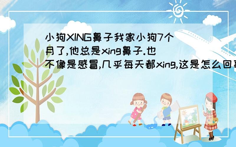 小狗XING鼻子我家小狗7个月了,他总是xing鼻子.也不像是感冒,几乎每天都xing,这是怎么回事