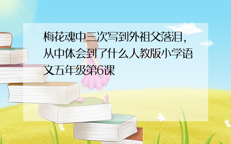 梅花魂中三次写到外祖父落泪,从中体会到了什么人教版小学语文五年级第6课