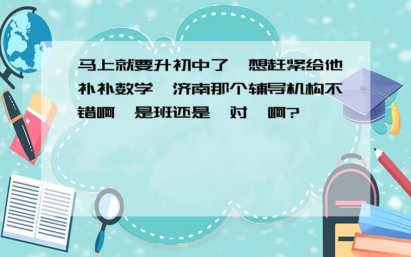 马上就要升初中了,想赶紧给他补补数学,济南那个辅导机构不错啊,是班还是一对一啊?